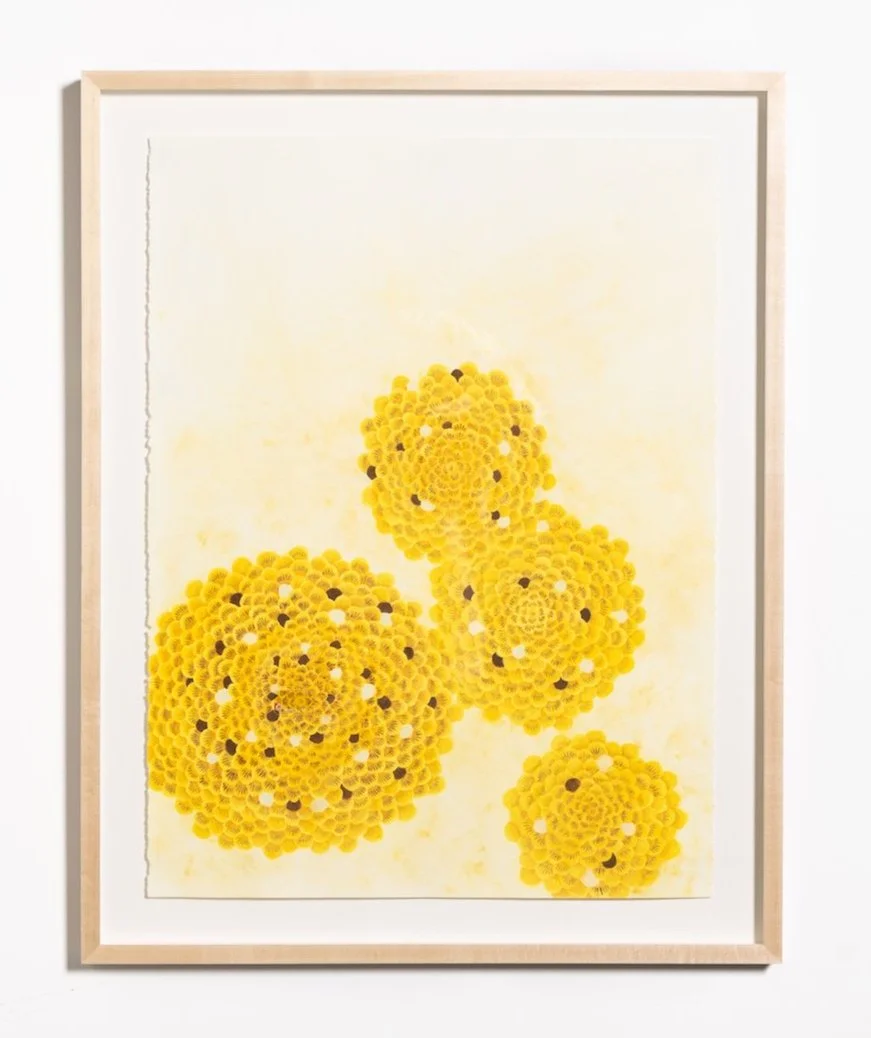 Mexico (Yellow Flowers)